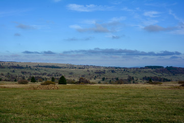 Obraz premium Zielony krajobraz z łąką, drzewami i niebieskim niebem w Rhön, Niemcy