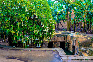 Ruins of the Roman city known as Sala Colonia and the Islamic complex of Chellah, mosque and minaret ruined.