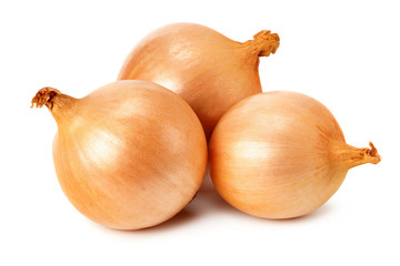 Fototapeta premium Napiform onion isolated on a white background