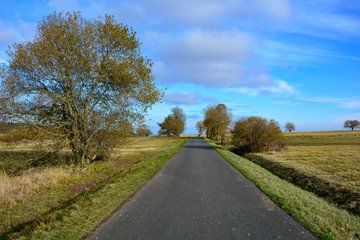 Fototapeta na wymiar Lonely country road through a green landscape, in the Rhoen, Germany