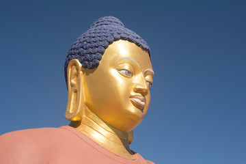 golden buddha statue in ladakh monastery 