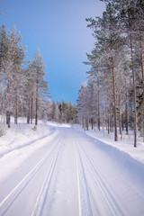 Car trail on the background of a winter landscape