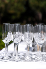 Set of blank empty wine glasses displayed in rows. Preparation for the holiday.