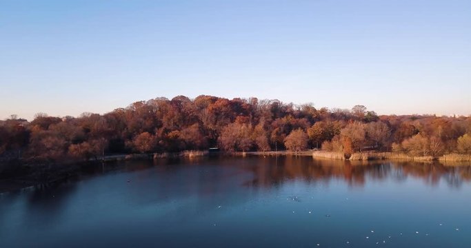 Aerial video of Prospect park in Brooklyn during autumn
