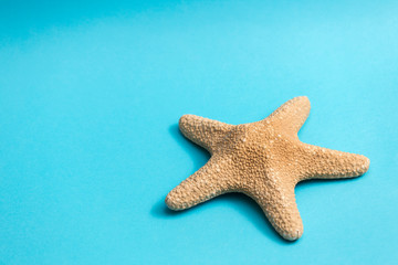 Fototapeta na wymiar starfish on blue background