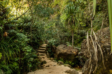 Staircase in Isalo National Parc Madagascar Canyon/ Pristine forest