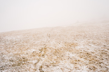 First snow of the year in carpegna
