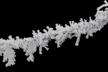 Frozen tree branch covered with ice isolated on black background