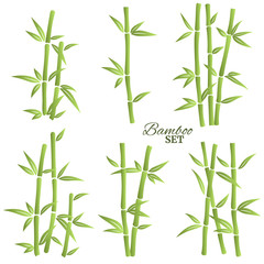Green bamboo elements set. Bamboo  icons for your design. Vector illustration.