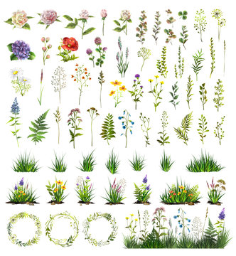Big floral elements set. Flowers, leaves, wreaths for your design. Vector colorful illustration.