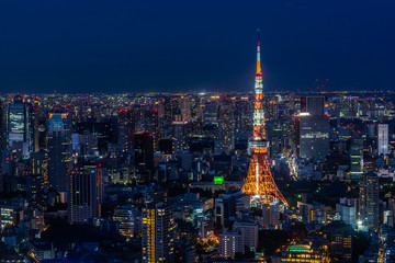 Night cityscape of Tokyo dominated by Tokyo Tower, the most famous landmark of the city, Japan