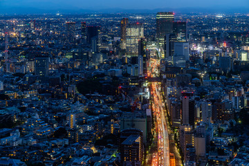 Fototapeta na wymiar Scenic aerial night view of Tokyo from Mori Tower observation deck, Japan