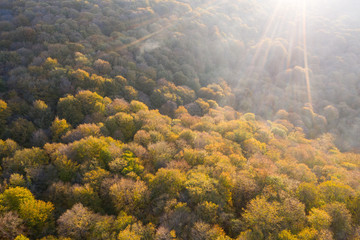 Sabaduri Forest, Tbilisi National Park, Georgia. Country. Autumn. Drone shooting