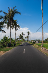 Asphalt road in Canggu village on Bali island on a clear day in the middle of rice fields with no people