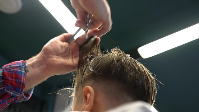 Hairdresser cuts hairs with scissors on boy's head. Back view, stylist's hands close-up.