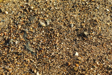 Beach sand hard stones v2