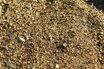Beach sand hard stones