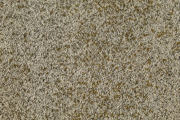 Foot path texture