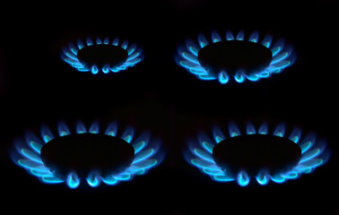 Cooking surface with four gas burners with blue gas flames