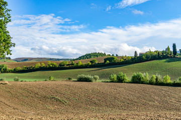 Fototapeta na wymiar Landscape of Fields in sunny tuscan countryside, Italy