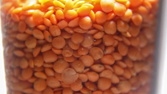 Red lentins pouring into glass macro