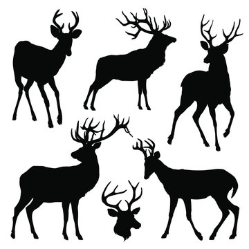 Deer silhouette set. Vector illustration