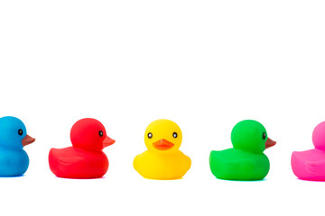 A row of rubber ducks on a white background. Bright colored rubber ducks in a line. Rubber ducks in...