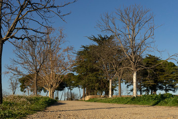 placido camino una preciosa tarde de Invierno