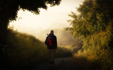 An early morning hiker with a backpack near Newquay in Cornwall. It is very foggy on the trail at the edge of the forest. The sun has risen and shines as backlight.