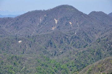 Fototapeta premium 春の檜洞丸を望む