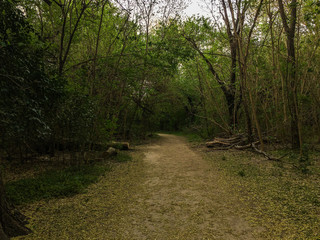 Parque Francisco Tau