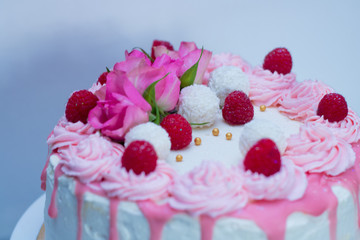 tort drip cake różowy - obrazy, fototapety, plakaty