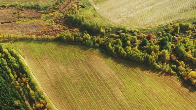Aerial View Autumn Empty Field With Windbreaks Landscape. Top View Of Clean Field. Drone View Bird's Eye View. A Windbreak Or Shelterbelt Is A Planting Usually To Protect Soil From Erosion