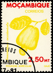 Cashew (Anacardium occidentale) on postage stamp