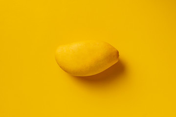 minimalist style of the simple  yellow mango fruit from thailand on color background