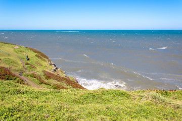 céu azul, mar   e vegetação  num dia de sol