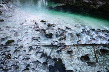 close up detail on beautiful green transparent river and rocks