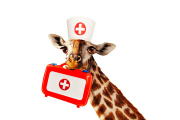 Happy doctor giraffe hold medical kit in mouse mixed media illustration, isolated on white © Sergey Novikov