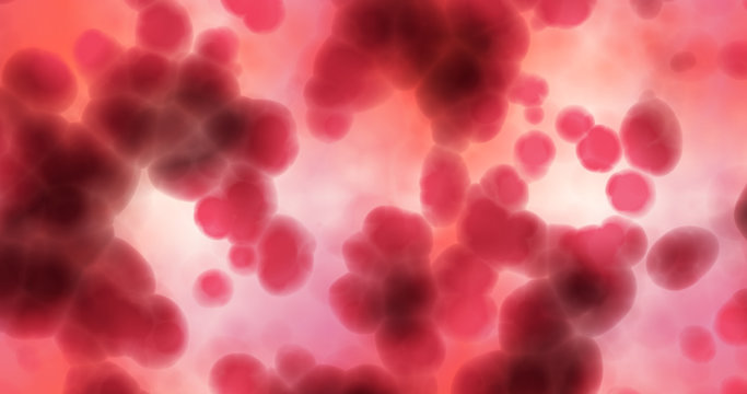 medical research artery cells microscopic closeup