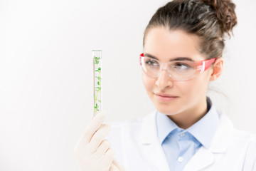 Pretty young biologist in eyeglasses nad gloves looking at green plant in flask