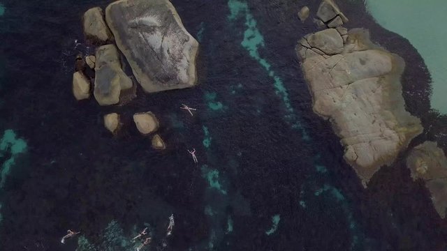 Plano de drone con grupo de personas nadando en el mar cerca de una playa de agua cristalina 4K