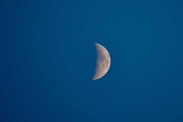 Obraz na płótnie Canvas Daymoon on a blue Sky. Half-moon on a blue sky