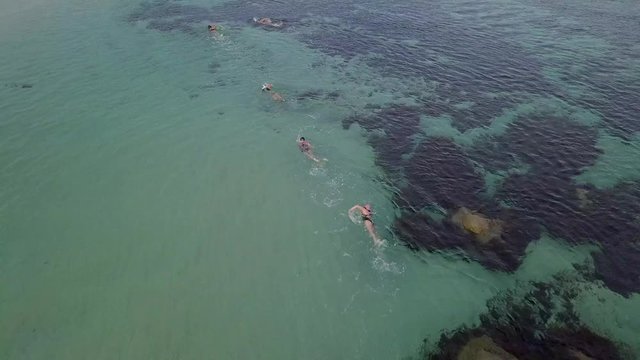 Plano de drone con grupo de personas nadando en el mar cerca de una playa de agua cristalina 4K