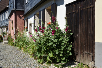 Fototapeta na wymiar house with flowers in Thurnau