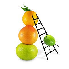 Lime climbs the stairs to pyramid of citrus fruits - sweetie, grapefruit and orange isolated on white background. Mixed media.