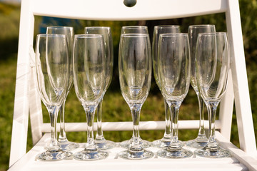 Set of empty luxury champagne glasses in a row on a white and green background