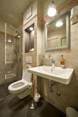 Hotel bath room with shower and toilet