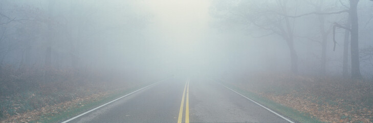 This is Fossy Road in a fog.  It signifies hazardous driving conditions as you can only see a few feet of the road and the way ahead is obscured by the fog. - Powered by Adobe