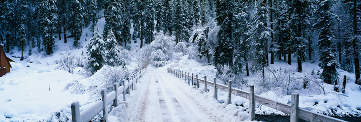 This is a small snow covered road after a winter snow storm. The road in front is a bridge with...