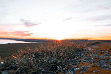 A Close Up Of Grass Growing On A Wall With A Sunset In The Background.